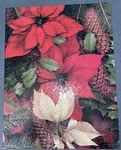 Springbok Poinsettias & Pine Cones 500 Pc Puzzle Complete. Fixed Price $10.00.