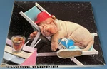Sealed Yuppie Puppie! By Keith Kimberlin Puzzle Shar-pei Great American. Fixed Price $19.99.