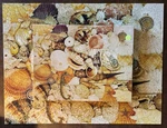 Vtg Springbok Hallmark 500 Piece Puzzle Treasures Seashells Complete Beach. Fixed Price $15.00.