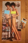 Playboy Playmate Puzzle October 1970 Centerfold Mary And Madeleine Collison. Fixed Price $44.95.