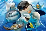 1000 Piece Jigsaw Puzzle For Challenging Gift Idea - Sea World. Fixed Price $13.19.