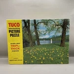 Tuco Tripl-thick Interlocking Puzzle Regents Park England 950-C Complete GA15. Fixed Price $14.50.