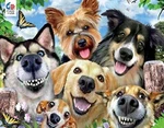 Ceaco - Selfies Dog Delight 550 Piece Jigsaw Puzzle. Fixed Price $19.95.