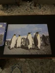 Formal Attire American Publishing 500 Piece Penguins Puzzle - Complete. Fixed Price $11.24.