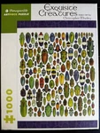 Pomegranate Puzzle 1000 Piece Exquisite Creatures Insects Christopher Marley. Fixed Price $7.99.