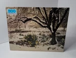 Golden 500 Piece Jigsaw Puzzle "daffodils In The Snow" Factory Sealed. Fixed Price $21.00.