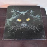 Vintage 1977 Springbok Midnight Black Cat Jigsaw Puzzle 500+ Pieces PZL2068. Fixed Price $22.50.