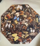 Vintage Octagonal Springbok Wings Of Beauty Puzzle. Fixed Price $12.82.