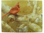 Vintage 1994 Springbok Puzzle American Cardinal Marjolein Bastin 500 Pc Complete. Fixed Price $21.97.