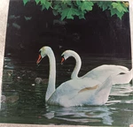 Vintage Eaton Treasure Collection Swan Lake 500+ Piece Jigsaw Puzzle 1979. Fixed Price $22.10.