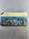 Springbok Kitty, 700 Pc Panoramic 13" X 40" Puzzle Sealed. Fixed Price $22.98.