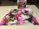 Ceaco Kittens Cats And Flowers 300 Pc Puzzle 100% Complete. Fixed Price $9.95.