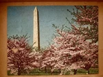 Vtg Perfect Picture Puzzle Spring Washington Missing 1PC. Fixed Price $9.99.