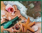 Vtg 1984 Springbok Puzzle, Sounds Of The Sea, 500PC Nice!. Fixed Price $25.00.