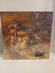 New Sealed Springbok Jigsaw Puzzle Family Outing Mallard Ducks Hallmark 500 Pcs. Fixed Price $18.88.