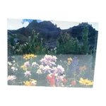 Vintage Springbok Puzzle 500 Pc Jigsaw "wildflower Valley" 1980S New & Sealed. Fixed Price $14.45.