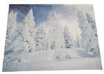 Hallmark Springbok 500 Piece Jigsaw Puzzle Snowy Tree Landscape 015012618013 New. Fixed Price $16.50.