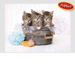 Puzzle - Creative Toys Clementoni Kittens And Soap 500PCS New 35065. Fixed Price $14.95.