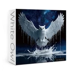 1000PC Owl Jigsaw Puzzle Fantasy Animal Galaxy Art Challenging Adult Set New Usa. Fixed Price $15.21.