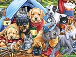 Masterpieces Camping Buddies 300 Jigsaw Puzzle By Jenny Newland. Fixed Price $18.39.