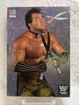 Vtg Milton Bradley Wwf Brutus The Barber Beefcake 250 Pc Puzzle Wwe. Fixed Price $19.97.