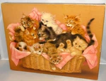 Springbok Kitten Caboodle Jigsaw Puzzle 500 Pcs PZL4152 Vintage Cats Hallmark. Fixed Price $12.74.