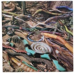 Vintage Springbok Snakes 500 Piece Puzzle Wooden Reptiles Speed Puzzling. Fixed Price $8.99.