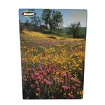 Puzzle Roseart Temblor Range California 1000 Pc Flowers No 20530 Sealed Box. Fixed Price $11.95.