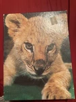 Vintage Whitman Jigsaw Puzzle 63 Piece Babes 11 1/2 X15 4-8 4430-31. Fixed Price $5.00.
