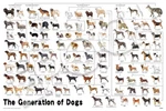 Epoch 1000-PIECE Jigsaw Puzzle, Animals/pets, Dog Family Tree (50X75CM), 12-625S. Fixed Price $63.49.