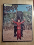 1958 Vintage Tray Puzzle Circus Boy Screen Gems Whitman 4428:29. Fixed Price $15.00.