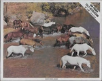 Vintage Whitman Apache Horses, Arizona 600 Piece 16" X 20" Jigsaw Puzzle. Fixed Price $9.99.