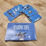 Crazy Marine Life Puzzle 1990'S Price Stern Sloan Games Y2K Brainteaser Pss. Fixed Price $11.99.