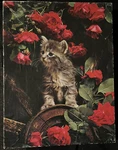 Vintage Springbok Puzzle 1975 The Way Of Cat PZL4062. Fixed Price $30.00.