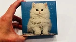 Vintage Springbok Hallmark Mini Jigsaw Puzzle White Cat "you're Purr-fect" Bin. Fixed Price $19.95.