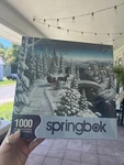 Sleigh Ride - Springbok Puzzle *new & Sealed* 1000 Pieces. Fixed Price $16.00.