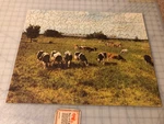 Vintage Tuco Deluxe Picture Puzzle - Complete Not Interlocking. Fixed Price $10.99.