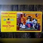 Sunsout Inc - Anyone Looking 300 Pc Jigsaw Puzzle. Fixed Price $12.99.