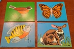 Judy Instructo Vintage Wooden Puzzles-set Of 4-ROBIN,BUTTERFLY, Fish, Rabbit-guc. Fixed Price $49.99.