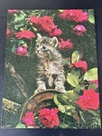 Vintage Springbok Puzzle 1975 The Way Of Cat PZL4062 Complete. Fixed Price $12.49.