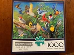 Buffalo Games "bird's Eye View" 1000 Piece Puzzle "used". Fixed Price $14.99.