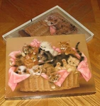 Kitten Caboodle - Vintage Springbok 500 Piece Cat Puzzle Assembled. Fixed Price $25.00.