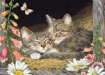 Cobble Hill Morning Snooze 35 Piece Jigsaw Puzzle. Fixed Price $11.49.