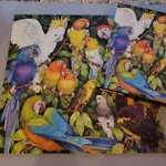 Vtg Springbok Jungle Birds Parrots Parakeets Puzzle 500+ Pc PZL2101 Complete. Fixed Price $19.95.