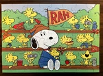 Vtg Peanuts Snoopy & Woodstock 48-PC Puzzle, Rah Go Team! Springbok Hallmark Usa. Fixed Price $7.00.