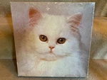 Springbok 500 Piece Jigsaw Puzzle "snowball" - Pre Owned. Fixed Price $8.00.