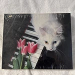Cat On Keys 550 Piece Jigsaw Puzzle Keith Kimberlin 18 X 24 New. Fixed Price $14.99.