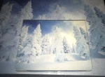 Springbok Snowscape Jigsaw Puzzle 500 Piece Winter Trees Hallmark Complete. Fixed Price $10.00.