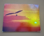 Springbok Free Spirit Jigsaw Puzzle Vintage Hang Glider Over 500 Pc Complete. Fixed Price $12.00.