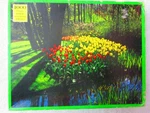 Tulips By The Water 1000 Piece Jigsaw Puzzle #75922-3 (1980, Rainbow Works). Fixed Price $18.97.